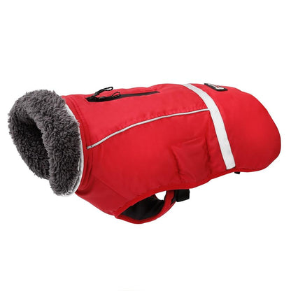 Warm dog coat for cold weather