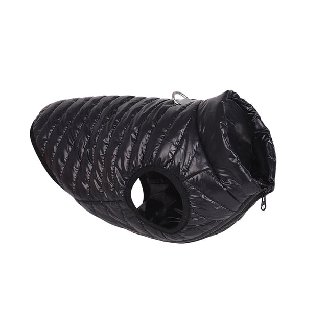 Warm dog coat with D-ring leash hook