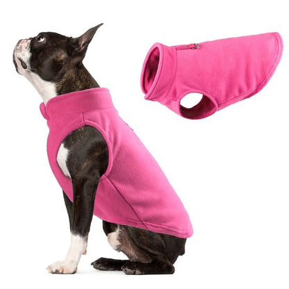 Warm fleece jacket for Frenchie dog