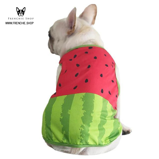 Coolify™ V2: Summer Cooling Shirt (CS18) - Frenchie Bulldog Shop