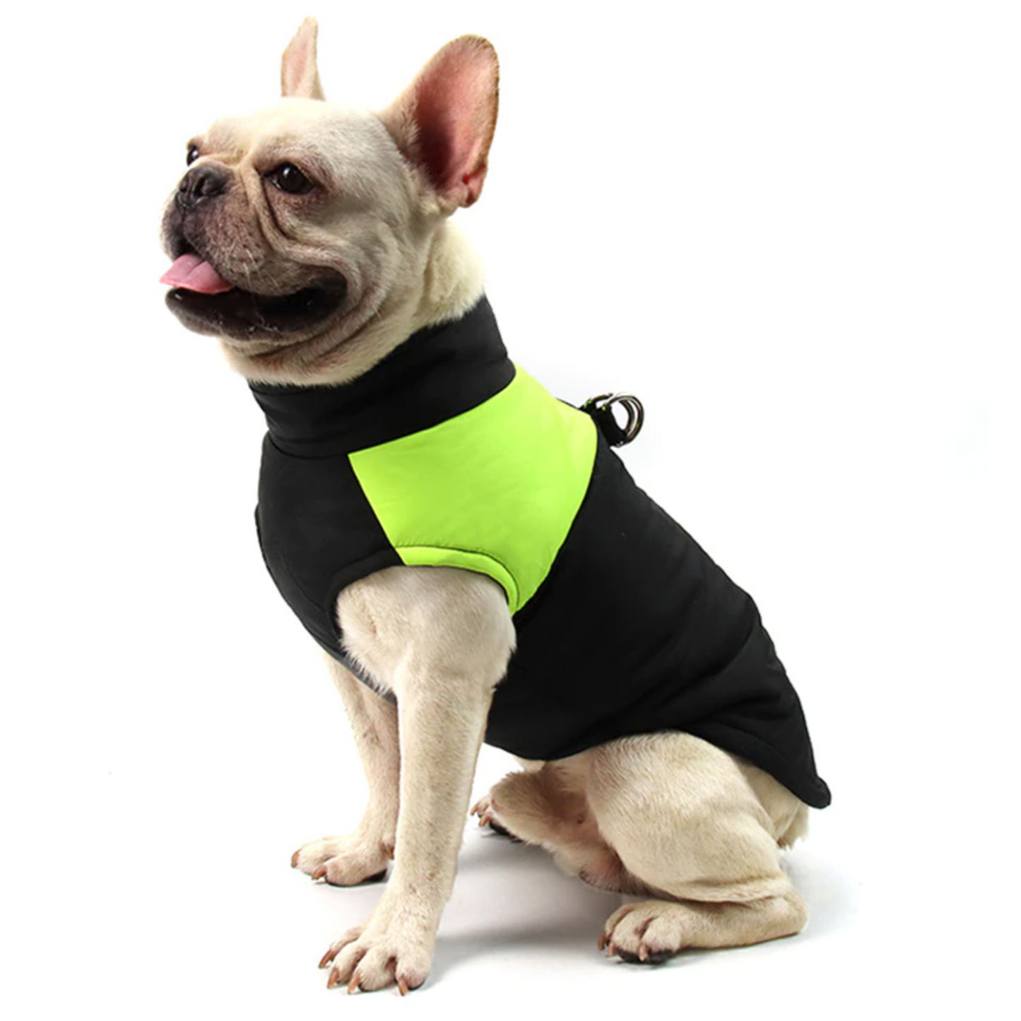 Waterproof Vest Jacket for French Bulldog