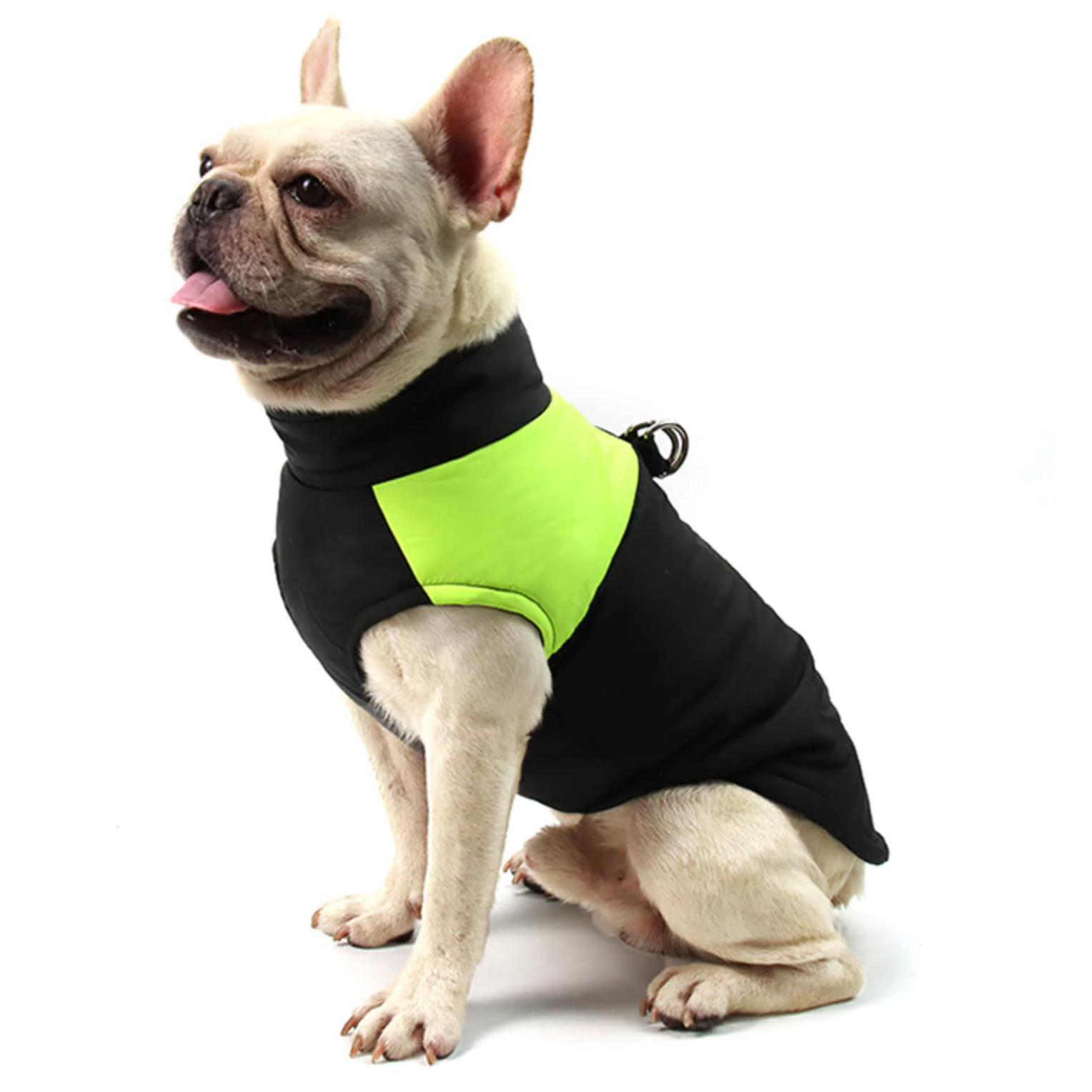 Waterproof Vest Jacket for French Bulldog