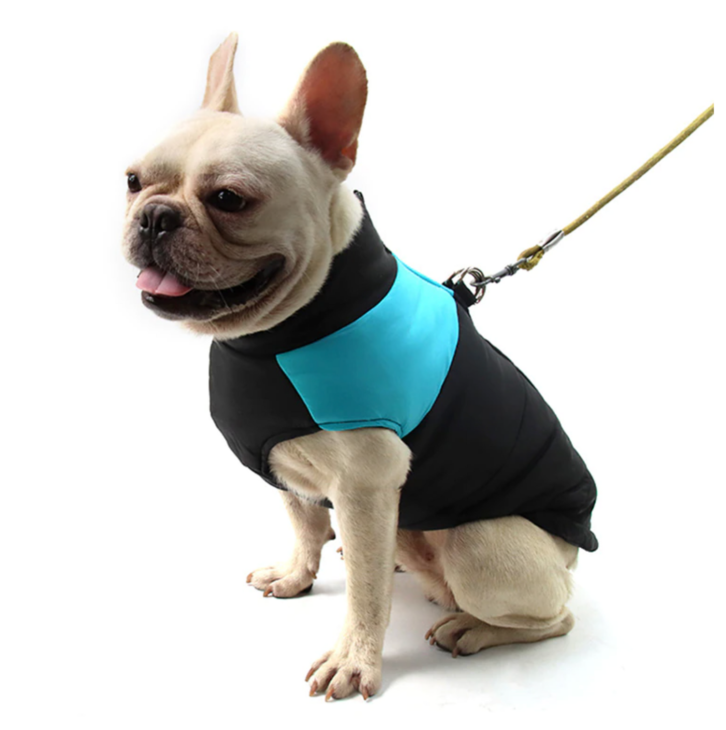 Waterproof Vest Jacket for French Bulldog (CS020) 