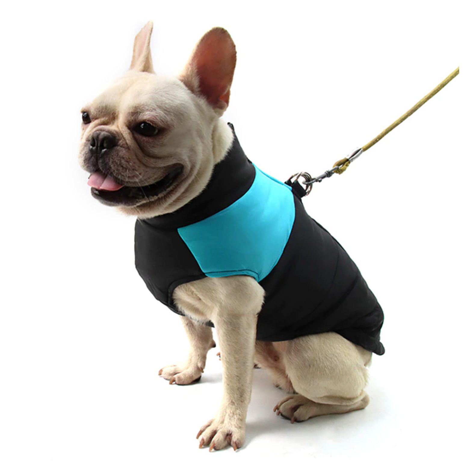 Waterproof Vest Jacket for French Bulldog (CS020) 