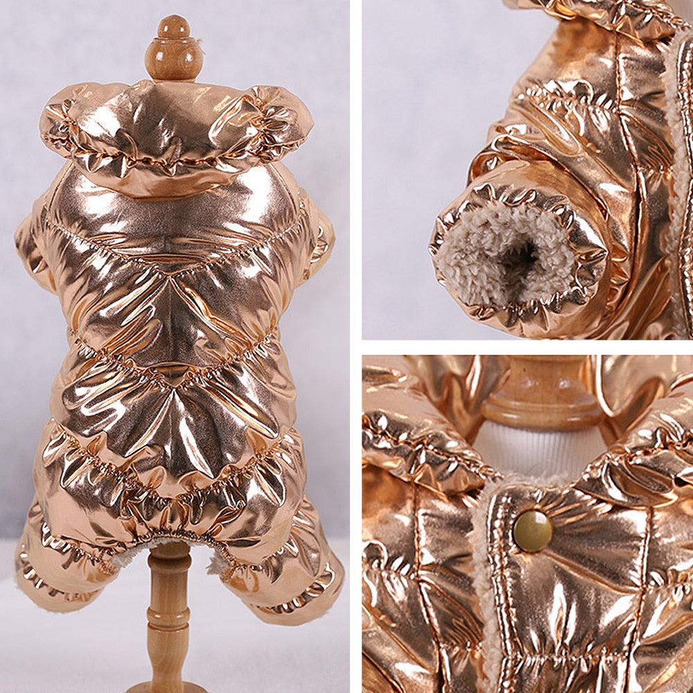 Winter coat for French Bulldog