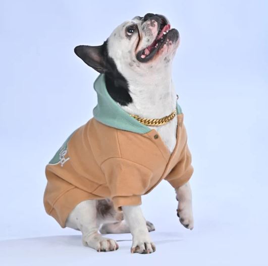 Wintersy™ - French Bulldog Soft Hoodie (WL03) - Frenchie Bulldog Shop