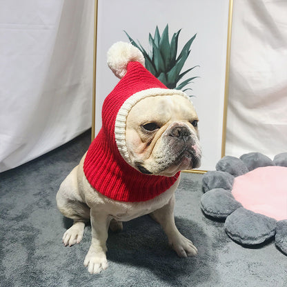 Wool Hat for French Bulldogs