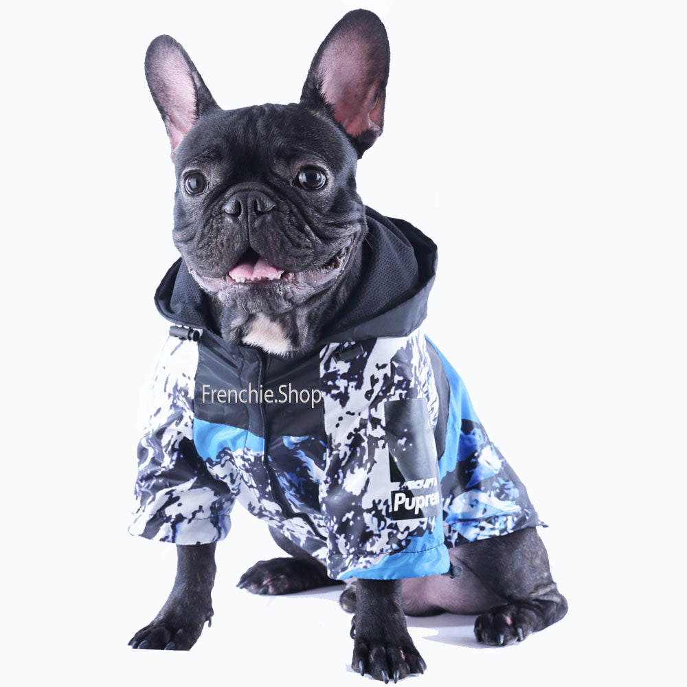 BlueHarmony Raincoat V2 - Frenchie Bulldog Shop