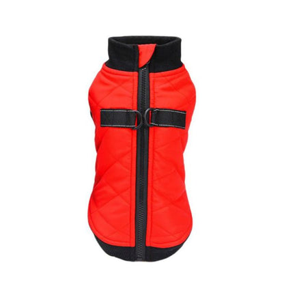 Zip-up vest for French Bulldogs