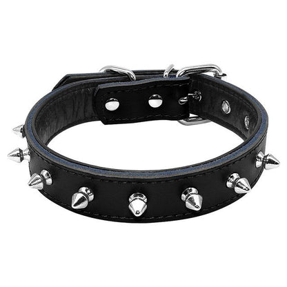 adjustable dog collar
