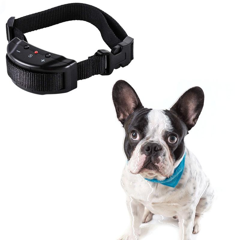 Anti Barking for French bulldog - frenchie Shop