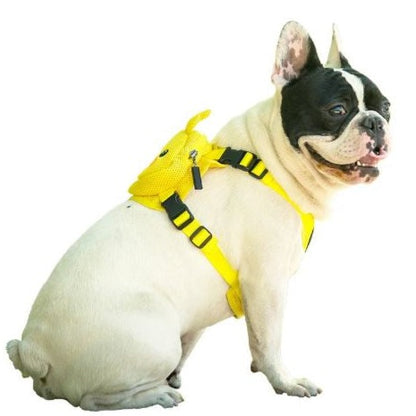 backpack with harness