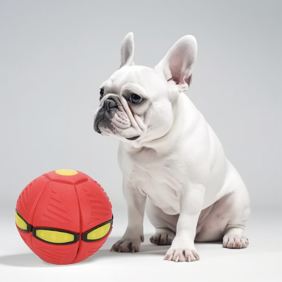 Toys for french bulldog puppies outlet