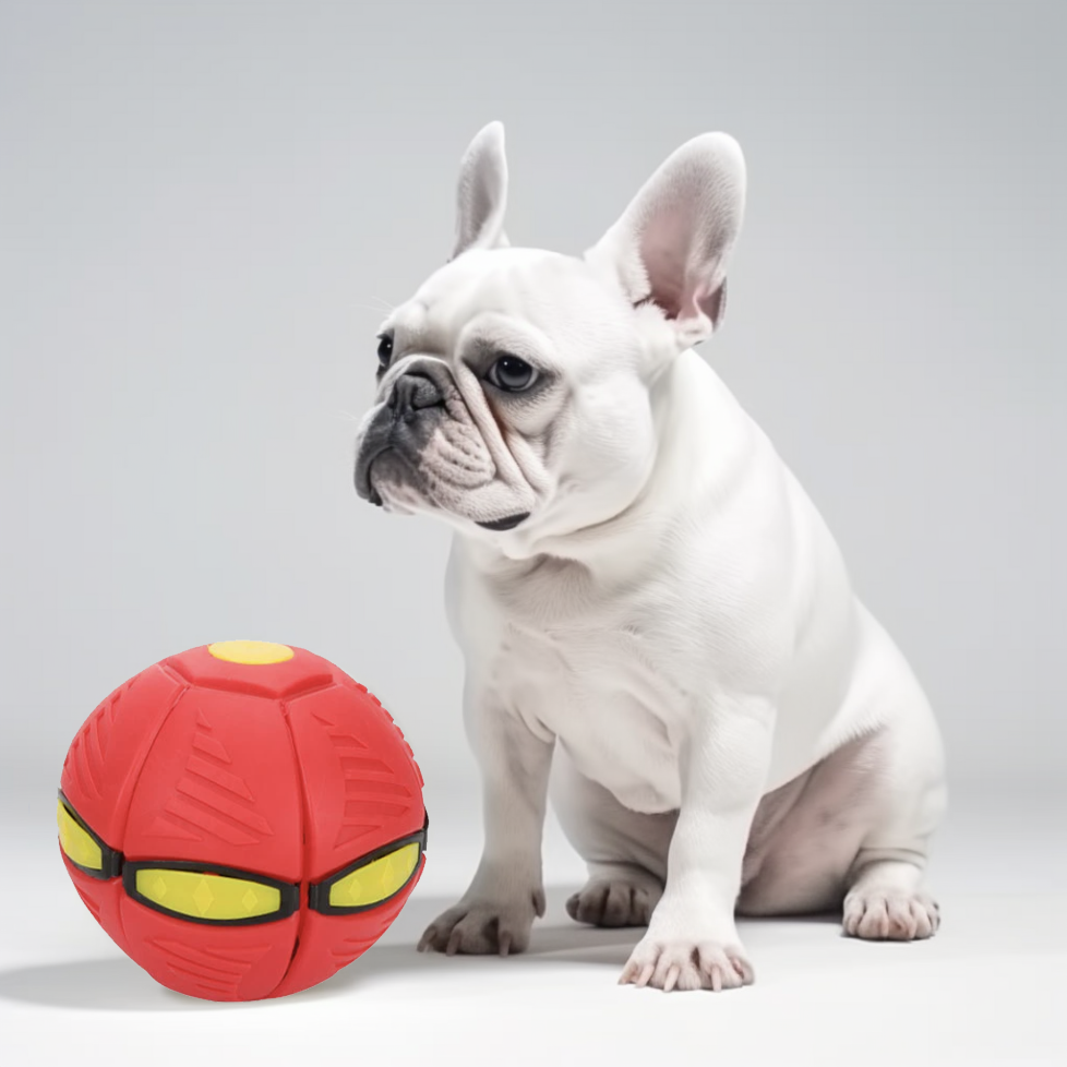 Frenlite - Frenchie Toy Ball with LED Light - Frenchie Bulldog Shop