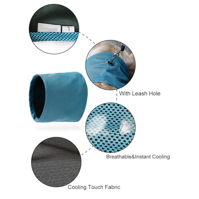 bandana for french bulldog