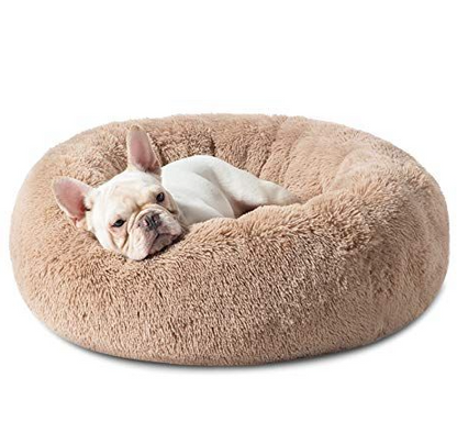 bed for french bulldog