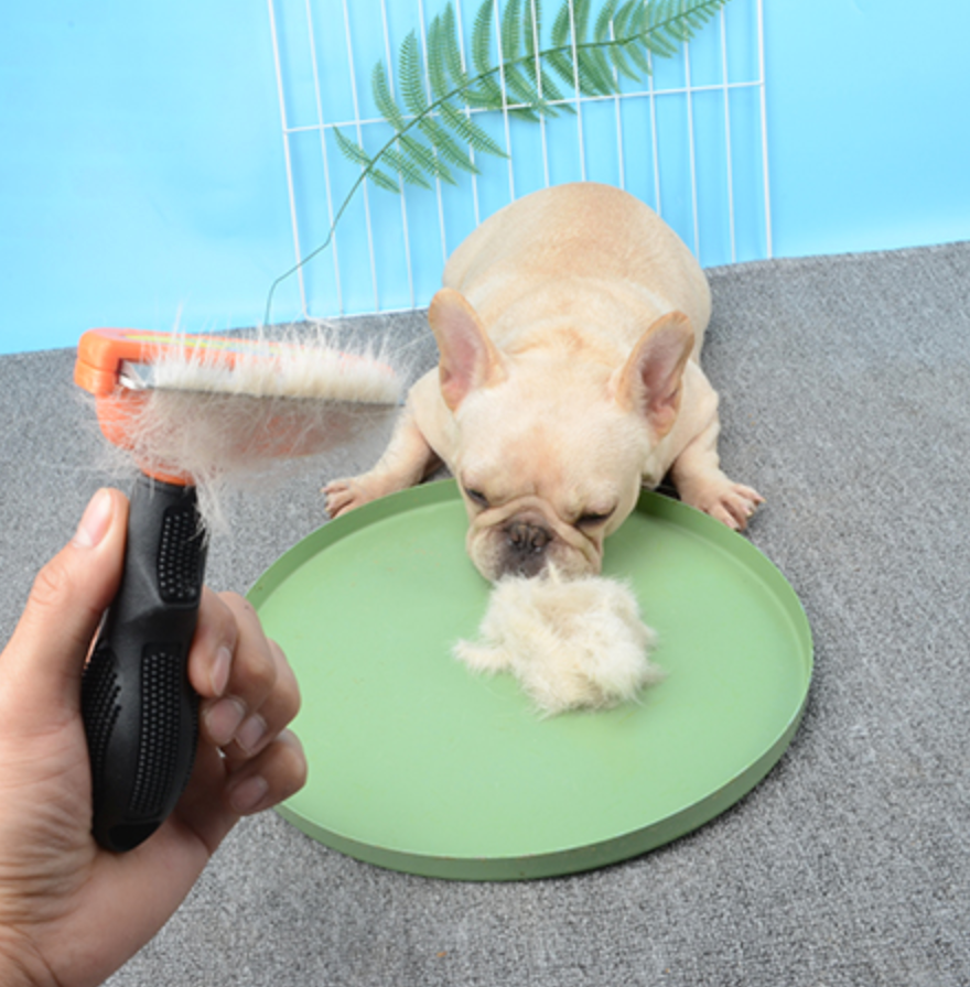 best brush for french bulldog