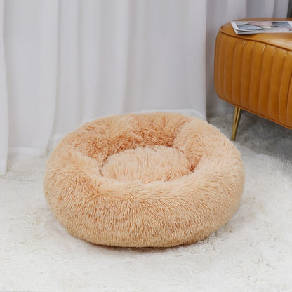 best dog bed for french bulldog