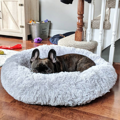 best dog beds for french bulldogs
