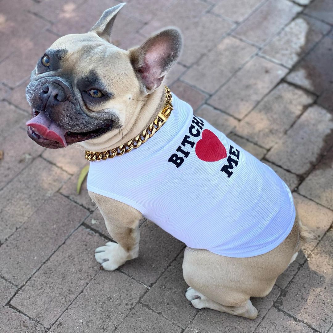 bitches love me t-shirt for french bulldog,