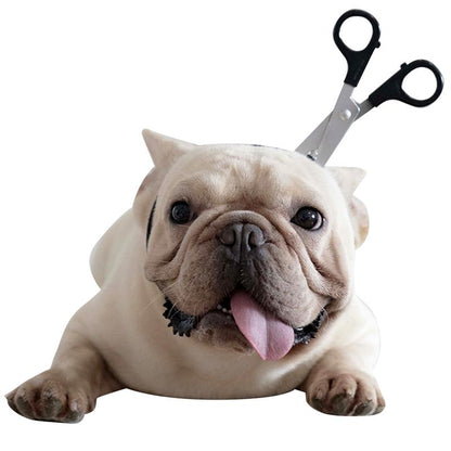 bulldog Halloween accessories