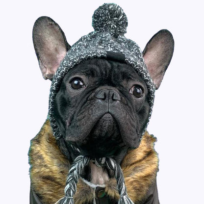 cap for french bulldog