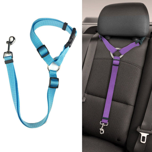 car safety seat belt
