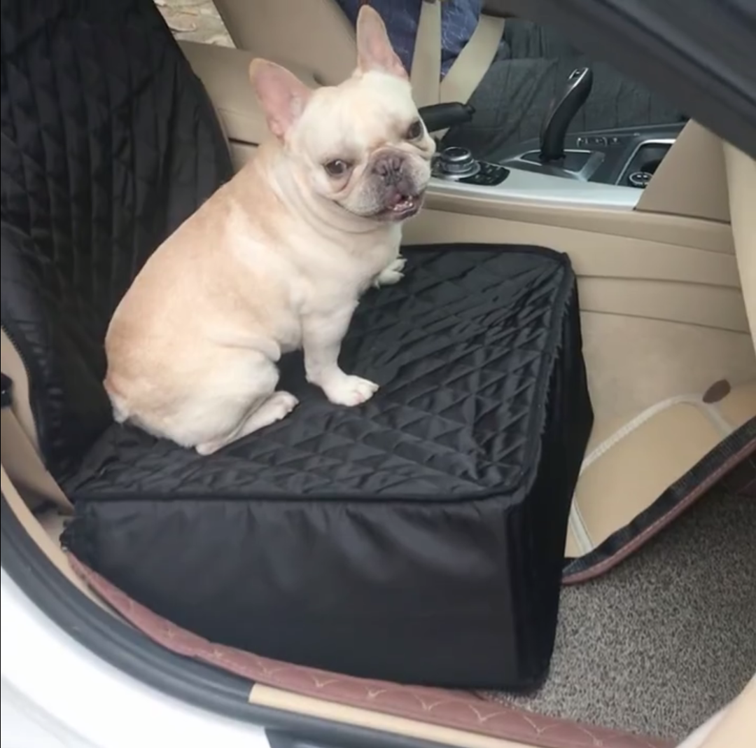 car seat protector for dogs