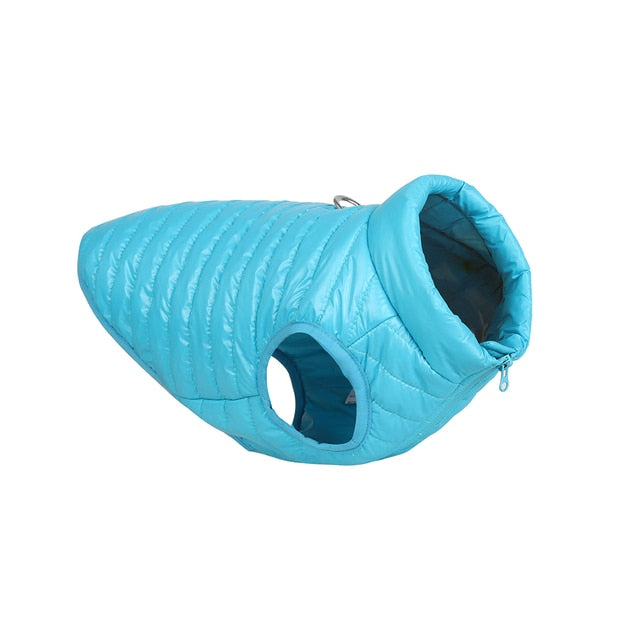 cold weather coat for French Bulldogs