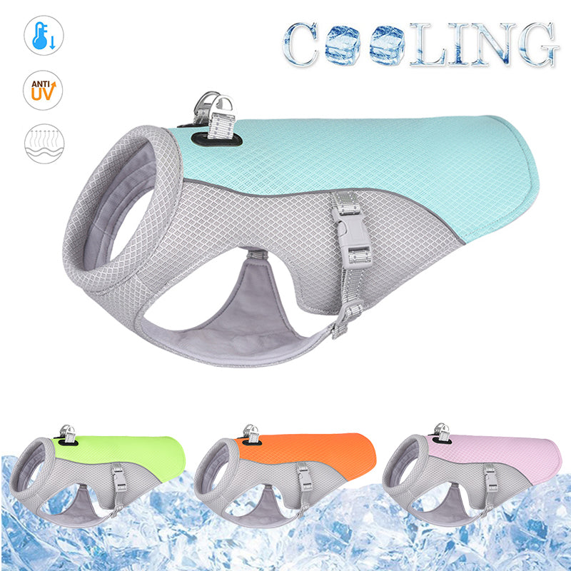 cooling jacket for frenchie