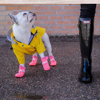 cooper french bulldog raincoat