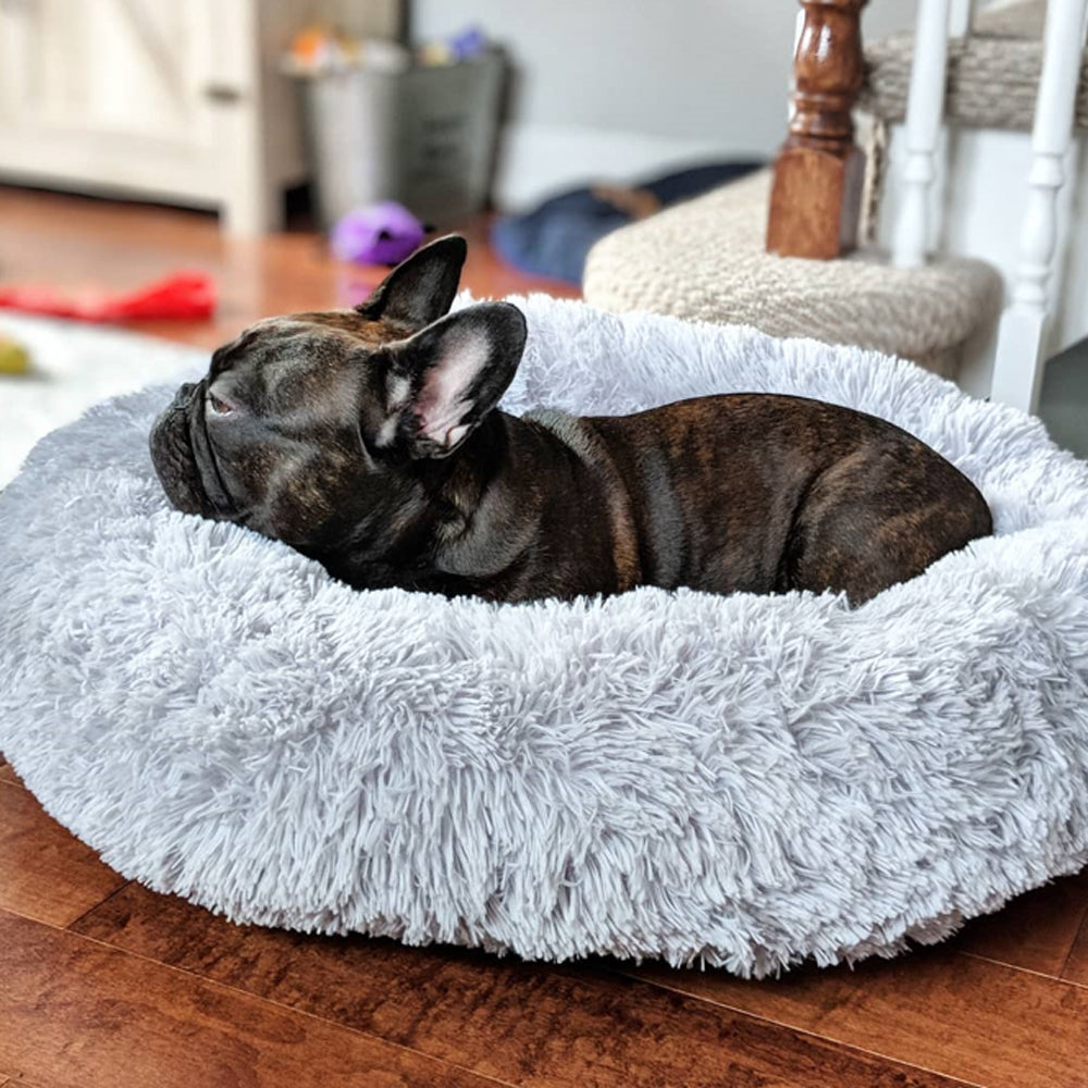 dog beds for french bulldogs