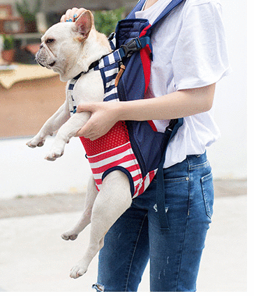 dog carrier front pack 20 lbs