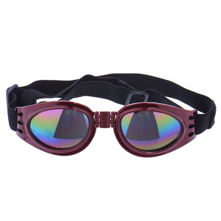 goggles en francais waterproof Goggles for Frenchies (WS04)