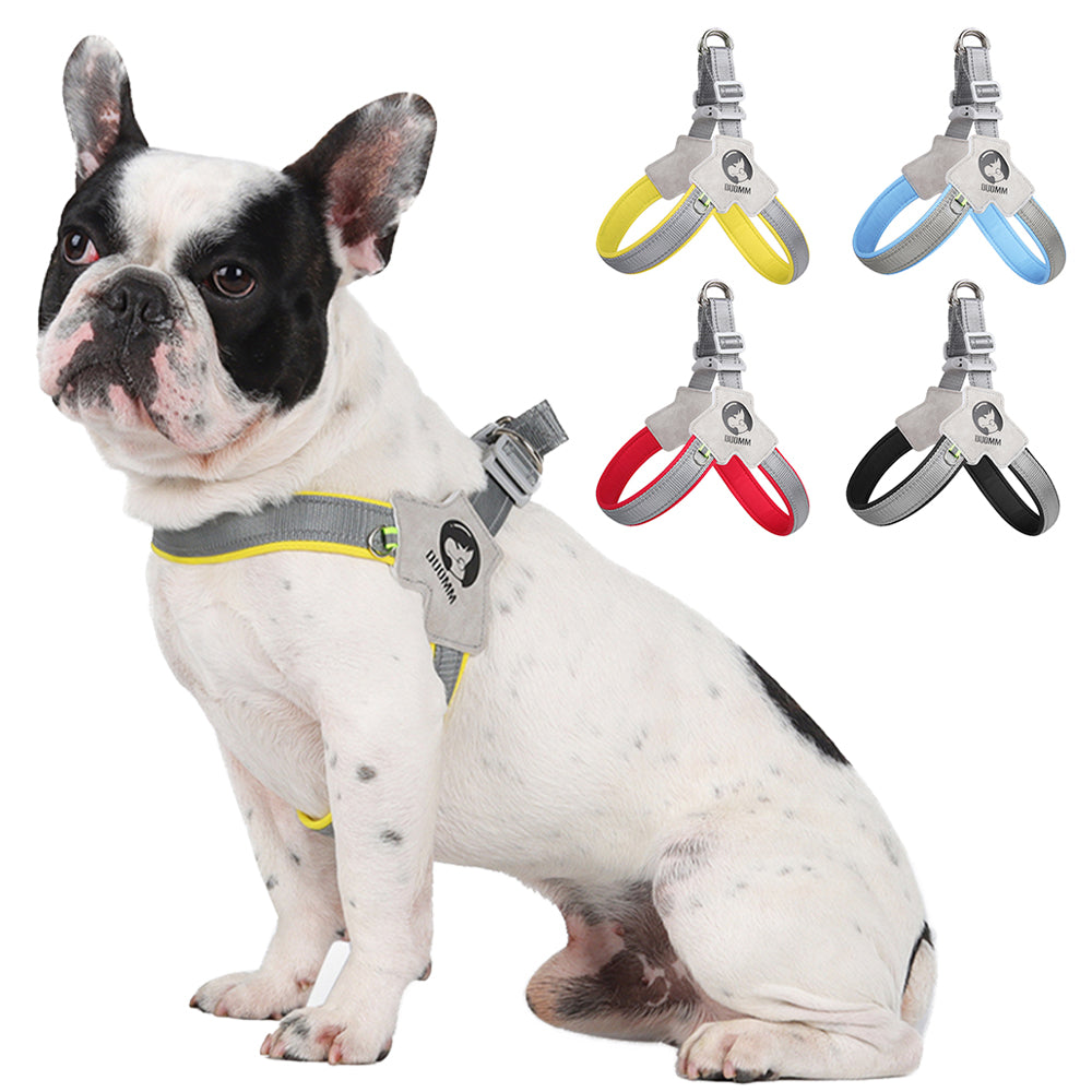 dog harness french bulldog