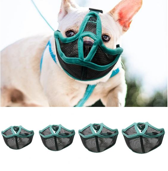 dog muzzle for french bulldog
