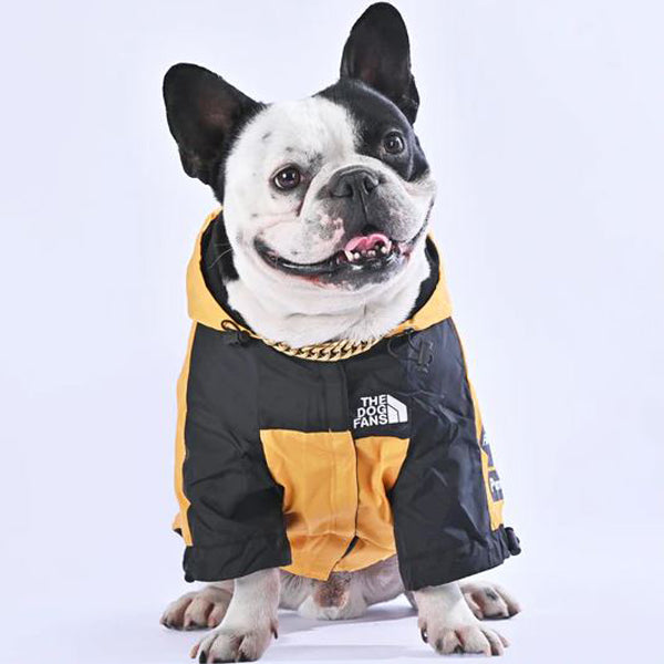 dog raincoat for french bulldog