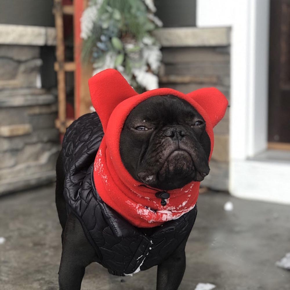 French Bulldog Soft Fleece Winter Hat