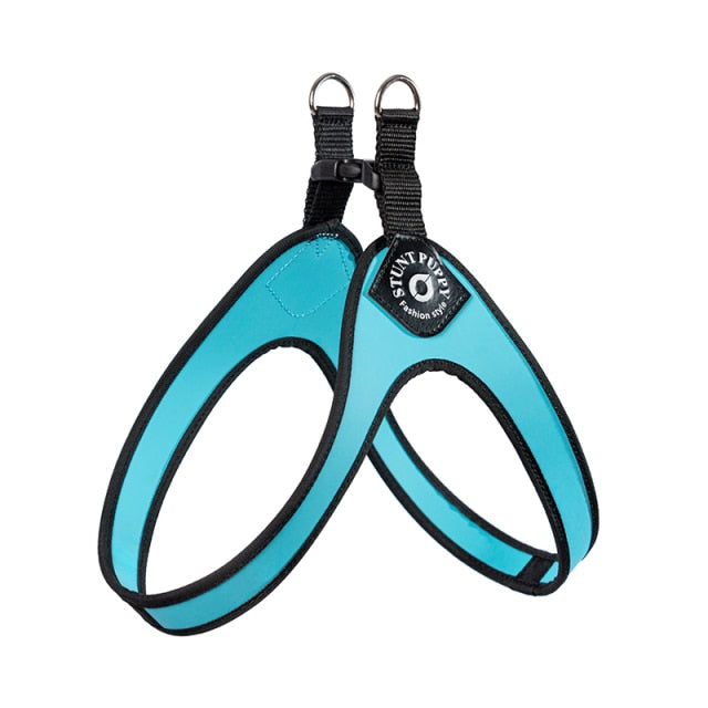 easy-walk pet harness