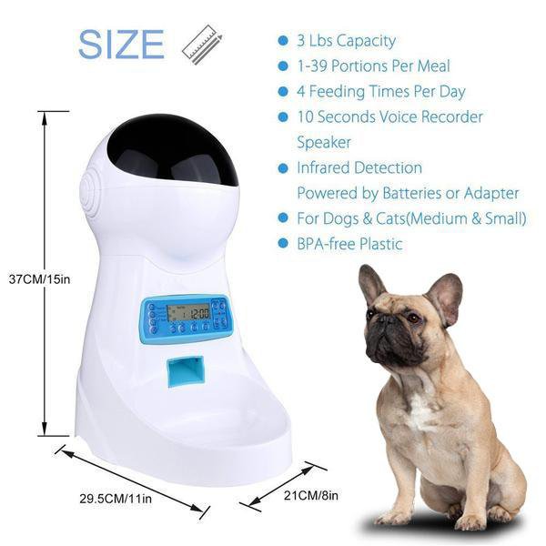 Smart Frenchie Food Feeder – frenchie Shop