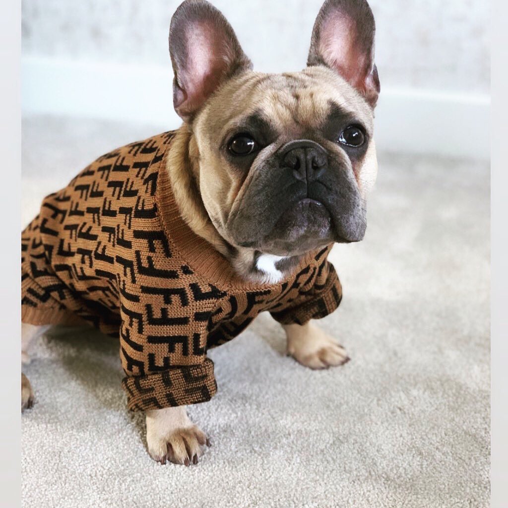 Dog fendi sweater Clearance