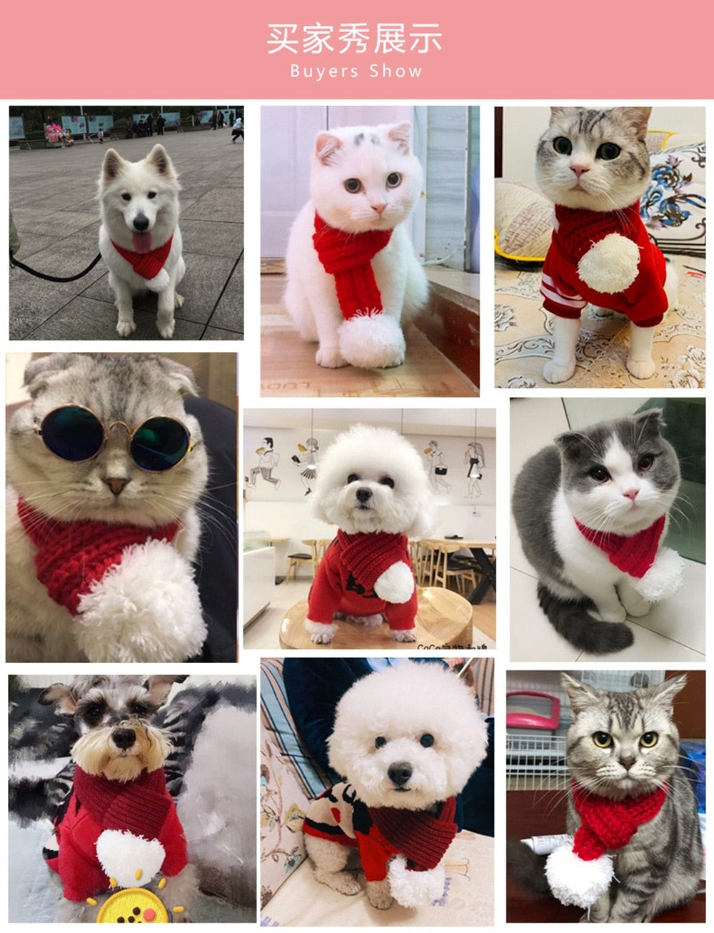 festive Frenchie knitwear