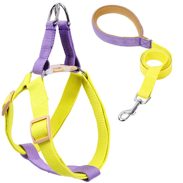 french bull harness