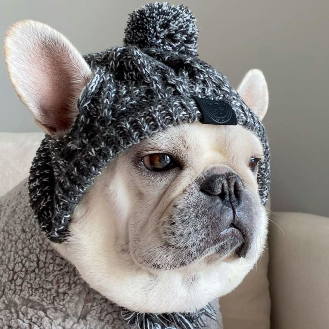 french bulldog cap