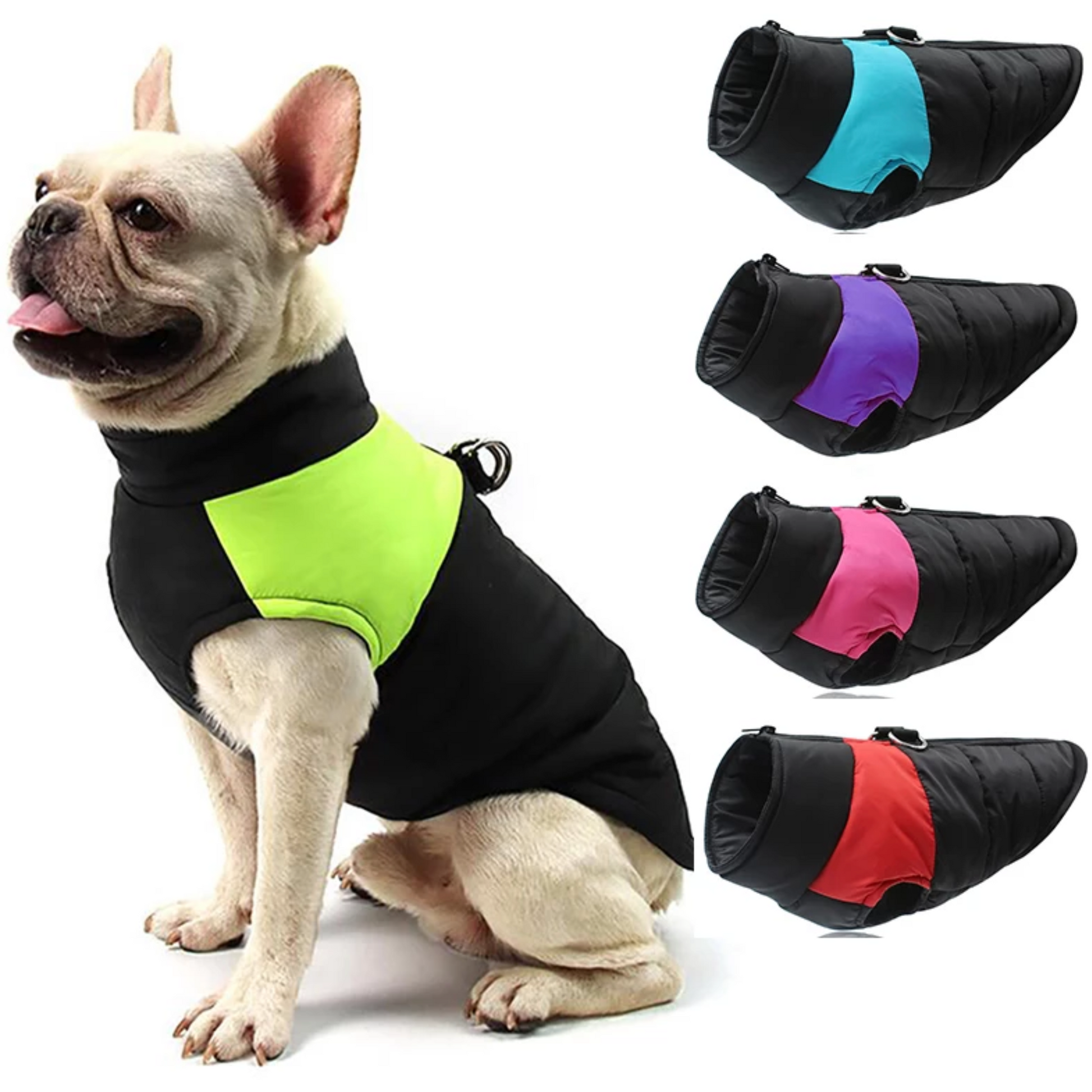 french bulldog coat harness