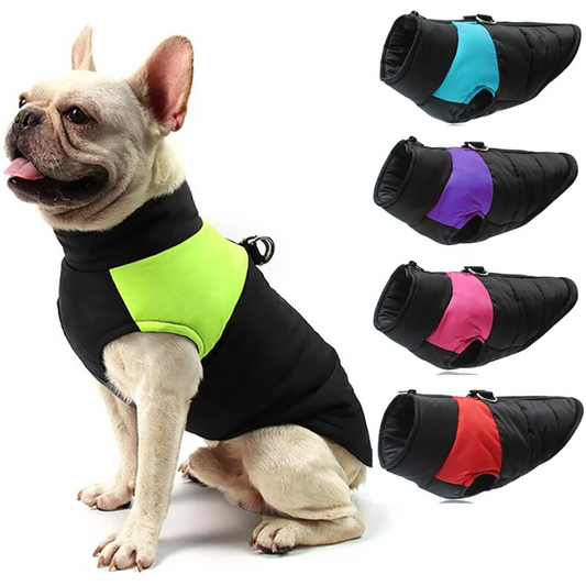 french bulldog coat harness