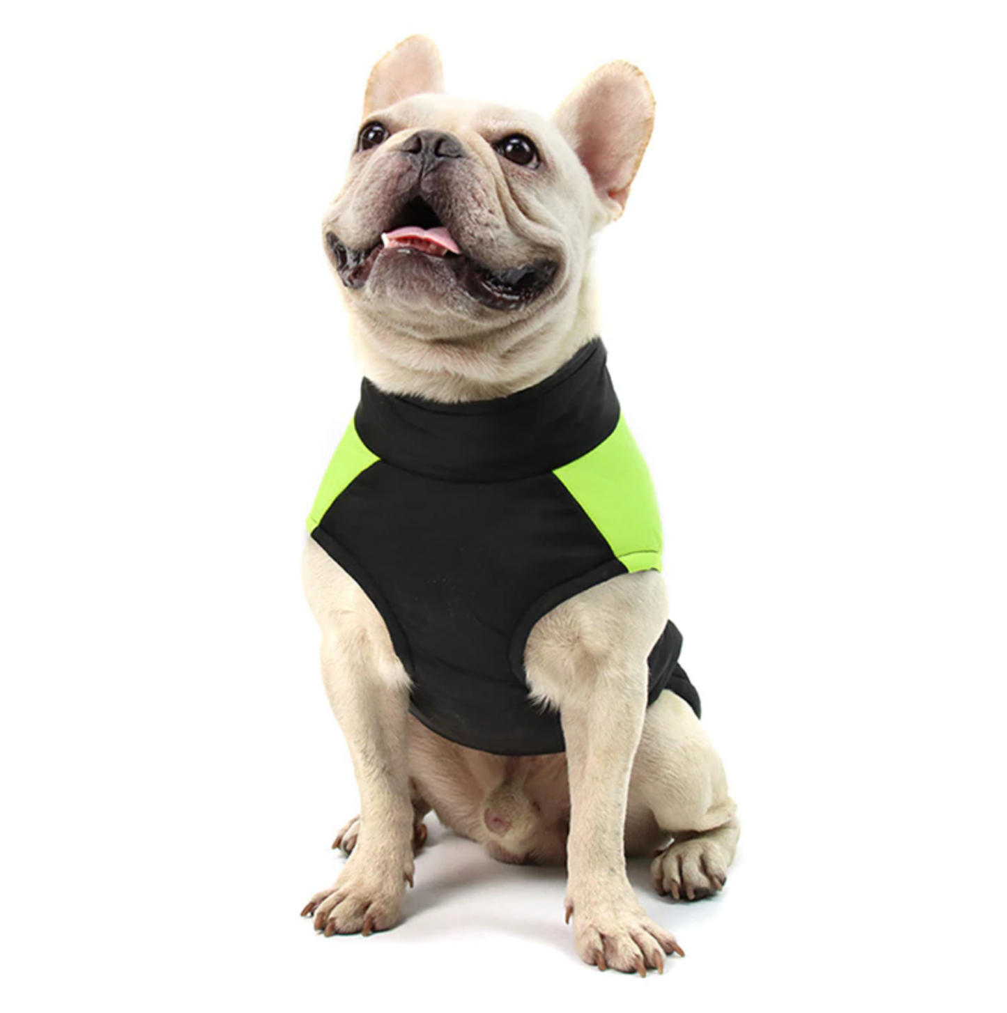 french bulldog coats harness 
