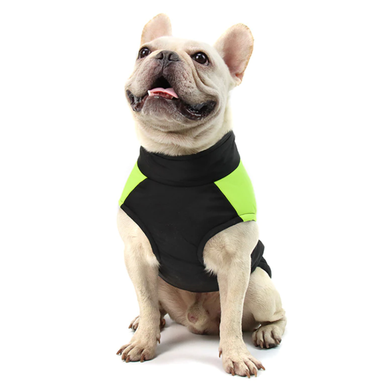 french bulldog coats harness 