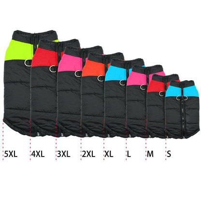 french bulldog coats with harness