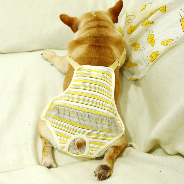 french bulldog diapers